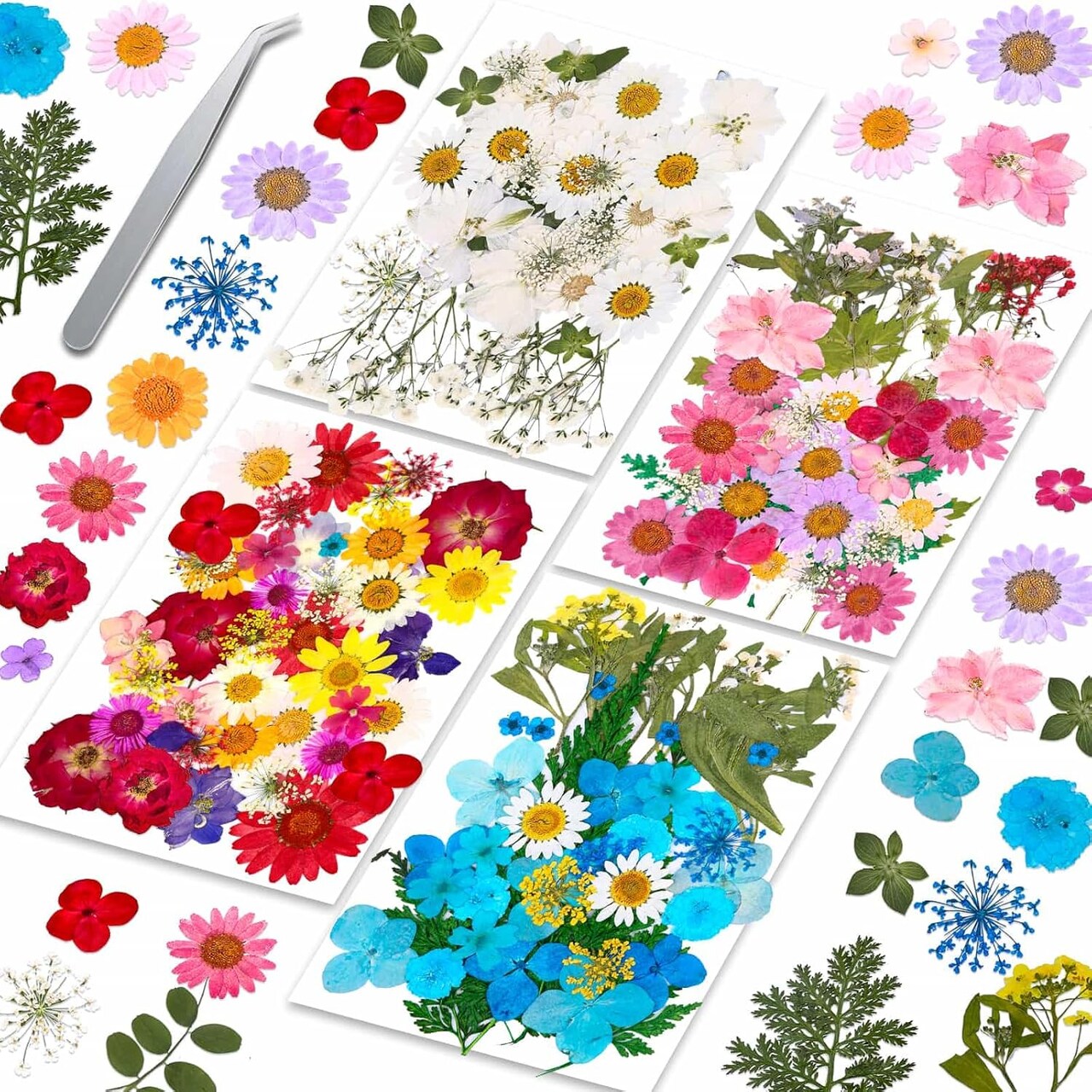 153-Piece Dried Pressed Flowers for Crafts – Real Wildflowers & Leaves for Resin, Jewelry, Candle, Soap, Scrapbooking, Bookmarks, Nail Art – Tweezers Included (4 Sheets Dried Flowers)